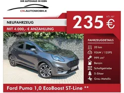 Grau Gebraucht 2023 Ford Puma ST-Line SUV | 24.890 € (Etwas zu teuer)