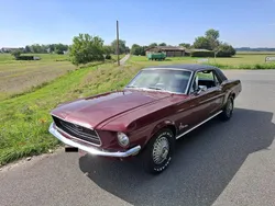 Rot Gebraucht 1968 Ford Mustang Coupé | 26.800 €