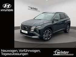Grün (cypress green / mic) Neu 2025 Hyundai Matrix Prime Van / Kleinbus | 34.480 €