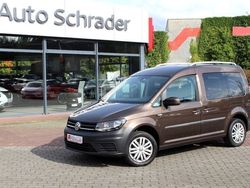 Braun Gebraucht 2017 VW Caddy Trendline Van / Kleinbus | 17.780 € (Etwas zu teuer)