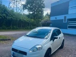 Weiß Gebraucht 2009 Fiat Punto Kleinwagen | 1.590 € (Fairer Preis)