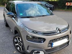 Braun Gebraucht 2019 Citroën C4 PureTech Limousine | 10.900 € (Fairer Preis)