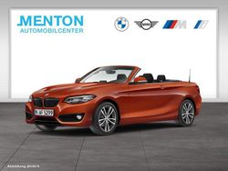 Orange Gebraucht 2021 BMW 218 Sport Line Cabrio | 26.490 € (Etwas zu teuer)