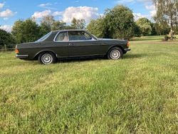 Grün Gebraucht 1978 Mercedes 230 Coupé | 6.000 €