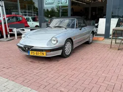 Silber Gebraucht 1988 Alfa Romeo Spider Quadrifoglio Verde Cabrio | 10.990 €