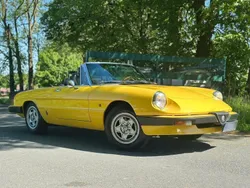 Gelb Gebraucht 1985 Alfa Romeo Spider Cabrio | 20.900 €