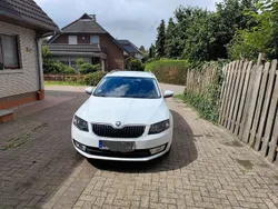 Weiß Gebraucht 2016 Skoda Octavia Ambition Kombi | 8.100 € (Fairer Preis)