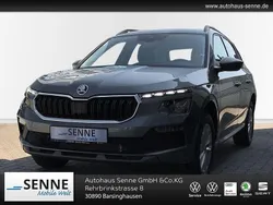 Grau Neu 2025 Skoda Kamiq Selection SUV | 31.850 € (Fairer Preis)