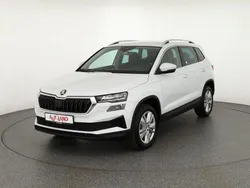 Weiß Neu 2024 Skoda Karoq SUV | 34.490 € (Guter Preis)