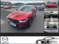 Rot Gebraucht 2024 Mazda CX-30 Prime-Line SUV | 22.790 € (Superpreis)