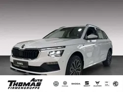 Moonweiss metallic Neu 2025 Skoda Kamiq Tour SUV | 33.130 € (Etwas zu teuer)