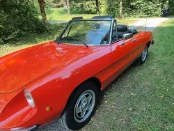 Rot Gebraucht 1979 Alfa Romeo Spider Veloce Cabrio | 27.500 €