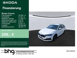 Weiß Gebraucht 2022 Skoda Octavia Ambition Kombi | 22.930 € (Etwas zu teuer)