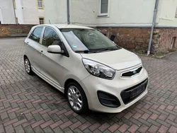 Beige Gebraucht 2012 Kia Picanto FIFA World Cup Edition Kleinwagen | 5.999 € (Fairer Preis)