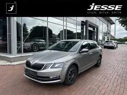 Cappuccinobeige metallic (metallic) Gebraucht 2019 Skoda Octavia Style Limousine | 16.790 € (Guter Preis)