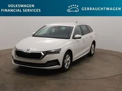 Weiß Gebraucht 2023 Skoda Octavia Style Kombi | 26.000 € (Guter Preis)