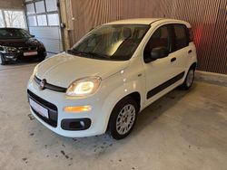 Weiß Gebraucht 2016 Fiat Panda Easy Limousine | 7.199 € (Fairer Preis)