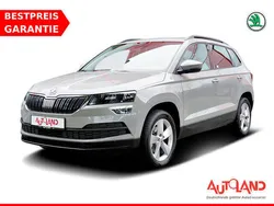 Grau Gebraucht 2019 Skoda Karoq Ambition SUV | 20.990 € (Fairer Preis)