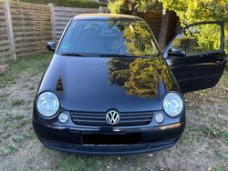 Grün Gebraucht 2002 VW Lupo Kleinwagen | 525 € (Guter Preis)