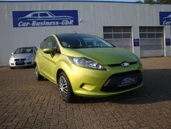 Grün Gebraucht 2009 Ford Fiesta Trend Kleinwagen | 3.990 € (Fairer Preis)