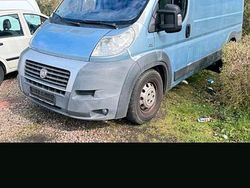Blau Gebraucht 2008 Fiat Ducato Van | 6.999 € (Guter Preis)