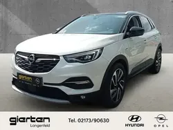 Jade weiss Neu 2024 Opel Grandland X Ultimate SUV | 32.990 € (Fairer Preis)