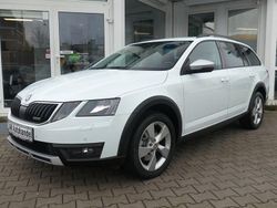 Weiß Gebraucht 2019 Skoda Octavia Scout Scout 4x4 Kombi | 17.790 € (Guter Preis)
