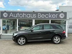 Schwarz Gebraucht 2014 Mercedes ML250 SUV | 24.950 € (Etwas zu teuer)