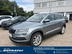 Grau Gebraucht 2019 Skoda Karoq SUV | 19.977 € (Guter Preis)