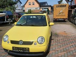 Gelb Gebraucht 2003 VW Lupo Kleinwagen | 1.100 € (Fairer Preis)