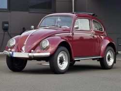 Rot Gebraucht 1978 VW 181 SUV | 27.200 €