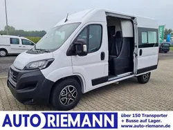 Weiß Neu 2024 Fiat Ducato Van | 36.771 € (Etwas zu teuer)