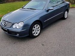 Blau Gebraucht 2002 Mercedes CLK240 Elegance Coupé | 4.900 € (Fairer Preis)