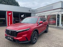Rot Gebraucht 2024 Honda CR-V Elegance SUV | 48.290 €