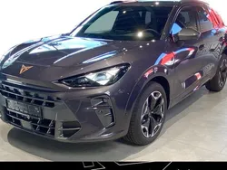 Grau Neu 2025 Cupra Terramar SUV | 45.985 € (Etwas zu teuer)