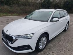 Weiß Gebraucht 2022 Skoda Octavia Ambition Kombi | 19.990 € (Superpreis)