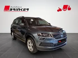Grau Gebraucht 2021 Skoda Karoq Ambition SUV | 18.930 € (Fairer Preis)
