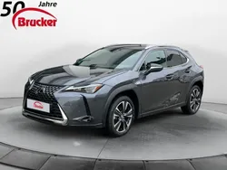 Obsidiangrau metallic Gebraucht 2023 Lexus UX 250h SUV | 31.490 € (Fairer Preis)