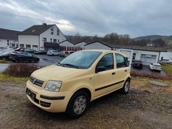 Gelb Gebraucht 2009 Fiat Panda Limousine | 4.000 € (Teuer)