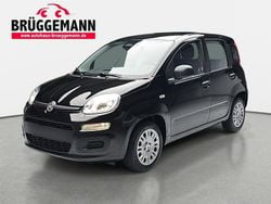 Schwarz Neu 2025 Fiat Panda Pop Kleinwagen | 13.990 € (Fairer Preis)
