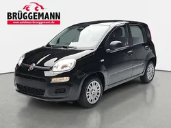 Schwarz Neu 2025 Fiat Panda Pop Kleinwagen | 14.990 € (Fairer Preis)