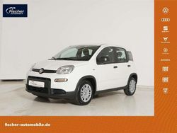 Gelato weiß Gebraucht 2024 Fiat Panda Kleinwagen | 14.980 € (Fairer Preis)