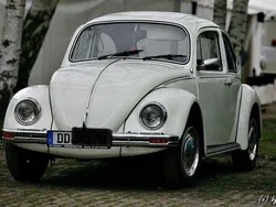 Weiß Gebraucht 1983 VW Käfer | 10.700 €