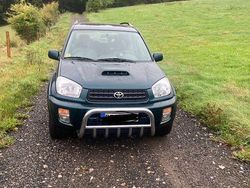 Grün Gebraucht 2001 Toyota RAV4 SUV | 5.600 € (Teuer)