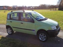 Grün Gebraucht 2006 Fiat Panda 4x4 Kleinwagen | 2.500 € (Etwas zu teuer)