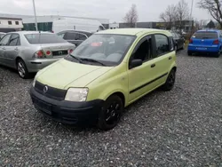 Easy listening gruen Gebraucht 2005 Fiat Panda Active Kleinwagen | 990 € (Guter Preis)