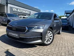Graphite grey Gebraucht 2024 Skoda Octavia Limousine | 29.500 € (Guter Preis)