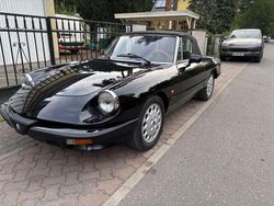 Grau Gebraucht 1983 Alfa Romeo Spider Cabrio | 17.900 €