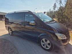 Mercedes Viano