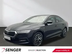 Schwarz Gebraucht 2022 Skoda Octavia Ambition | 20.880 € (Guter Preis)